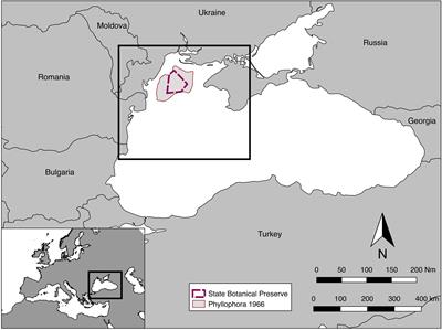 Partial Recovery of Macro-Epibenthic Assemblages on the North-West Shelf of the Black Sea